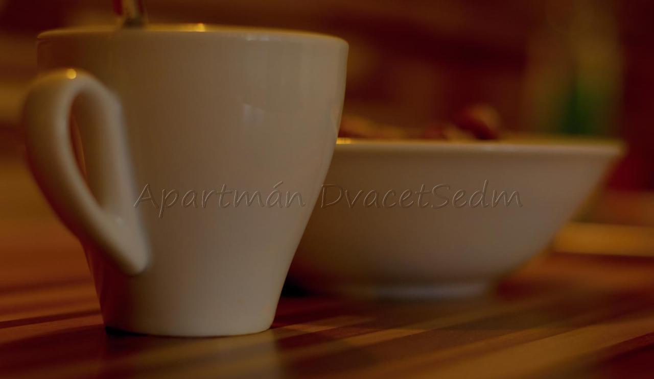 Dvacetsedm Apartment *